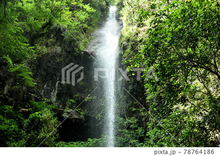 次の滝 【和歌山県有田郡有田川町】 次の滝 【和歌山県有田郡有田川町】 78764186