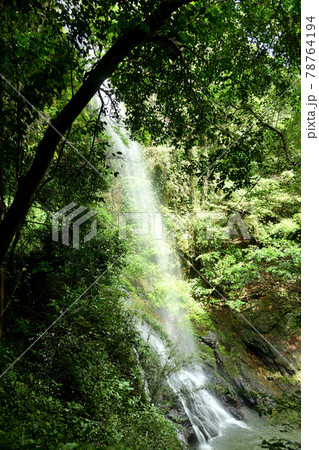 次の滝　【和歌山県有田郡有田川町】 78764194