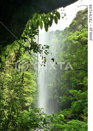 次の滝　【和歌山県有田郡有田川町】 78764198