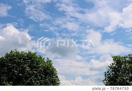 梅雨時の晴れ間 爽やかな 風景 梅雨時の晴れ間 爽やかな 風景 78764730