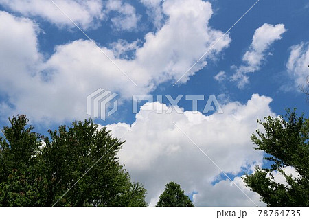 梅雨時の晴れ間 爽やかな 風景 梅雨時の晴れ間 爽やかな 風景 78764735