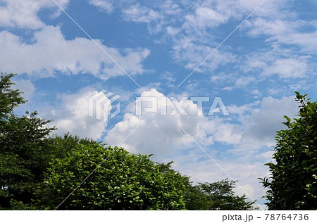 梅雨時の晴れ間　爽やかな　風景 78764736