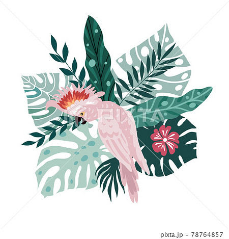 Parrot and leaves 8 78764857