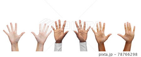 hands of people with diverse ethnicity hands of people with diverse ethnicity 78766298