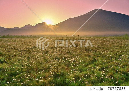 ワタスゲ群生する戦場ヶ原の日の出に朝焼け空と日光連山 ワタスゲ群生する戦場ヶ原の日の出に朝焼け空と日光連山 78767883