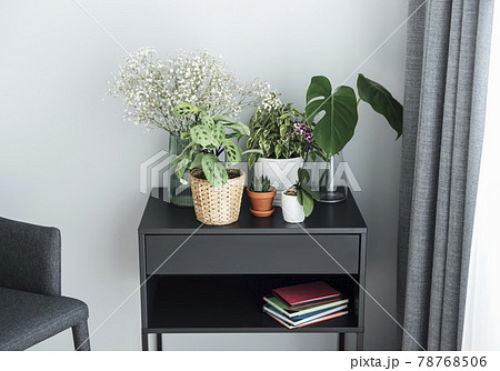 Different house plants on the table 78768506