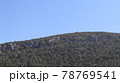 Green fir tree in natural background in Turkey. Pine tree forest background 78769541