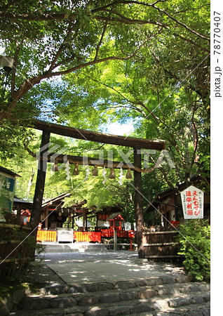 京都嵐山・嵯峨野野宮神社の黒木の鳥居 京都嵐山・嵯峨野野宮神社の黒木の鳥居 78770407