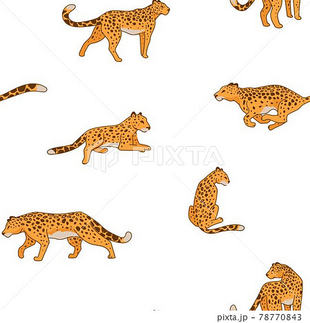 Cheetah animal in motion still seamless pattern 78770843