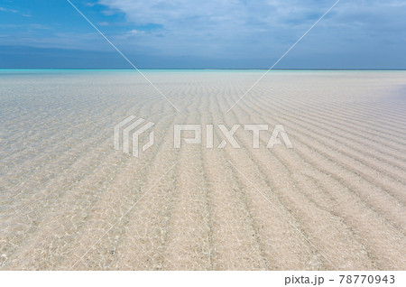 百合ヶ浜の砂紋 百合ヶ浜の砂紋 78770943