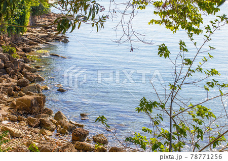 Blue water background with stones and green grass on the shore. sea, river, lake or ocean surface close 78771256