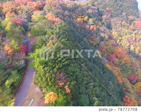 紅葉の錦 ドローンで空撮 屋島 香川県高松市 の写真素材