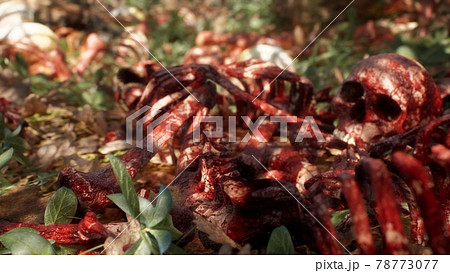 Bloody bones and skulls lie on the battlefield in the middle of the forest. War and apocalypse concept. 3D Rendering. 78773077