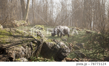 The Indian rhinoceros grazes in a clearing and eats green grass. Wild animals and wildlife. 3D Rendering. The Indian rhinoceros grazes in a clearing and eats green grass. Wild animals and wildlife. 3D Rendering. 78773124