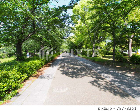 明るい陽射しの大阪城公園 78773251