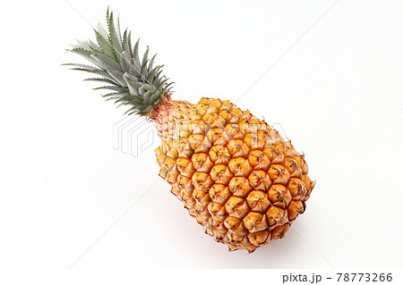 沖縄県産ボゴールパイン　白バック　白背景 78773266