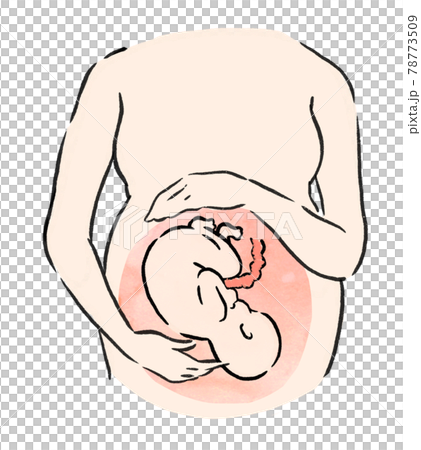 孕婦懷孕插圖女性腳掌 孕婦懷孕插圖女性腳掌 78773509