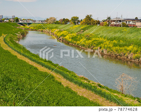埼玉県富士見市付近の新河岸川 78774628