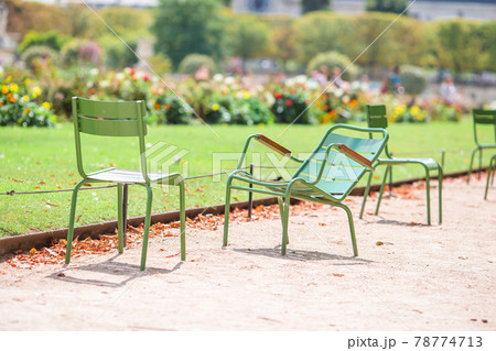 Traditional green chairs in the Tuileries garden in Paris, France 78774713