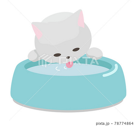水を飲む猫のイラスト素材
