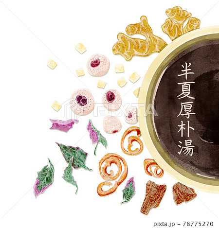 漢方生薬「半夏厚朴湯」手描き水彩風イラスト 漢方生薬「半夏厚朴湯」手描き水彩風イラスト 78775270