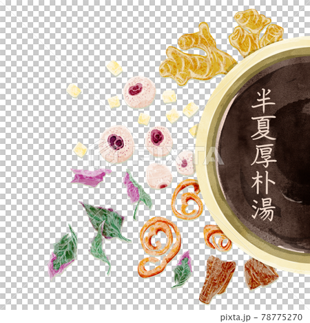 漢方生薬「半夏厚朴湯」手描き水彩風イラスト 漢方生薬「半夏厚朴湯」手描き水彩風イラスト 78775270