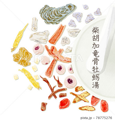漢方生薬「柴胡加竜骨牡蛎湯」手描き水彩風イラスト 漢方生薬「柴胡加竜骨牡蛎湯」手描き水彩風イラスト 78775276