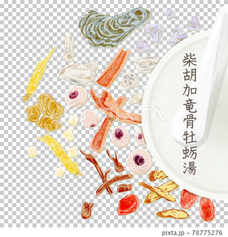 漢方生薬「柴胡加竜骨牡蛎湯」手描き水彩風イラスト 漢方生薬「柴胡加竜骨牡蛎湯」手描き水彩風イラスト 78775276