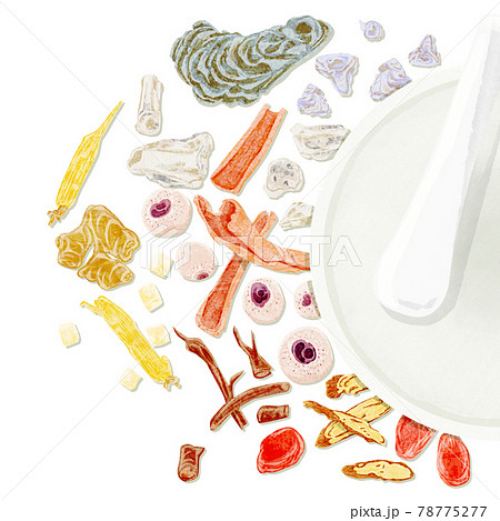 漢方生薬「柴胡加竜骨牡蛎湯」手描き水彩風イラスト 78775277