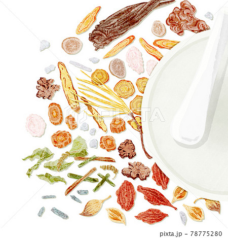漢方生薬「防風通聖散」手描き水彩風イラスト 78775280
