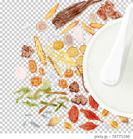 漢方生薬「防風通聖散」手描き水彩風イラスト 78775280