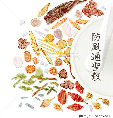 漢方生薬「防風通聖散」手描き水彩風イラスト 78775281