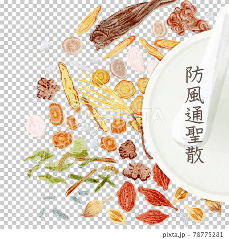 漢方生薬「防風通聖散」手描き水彩風イラスト 78775281