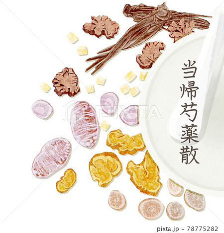 漢方生薬「当帰芍薬散」手描き水彩風イラスト 78775282