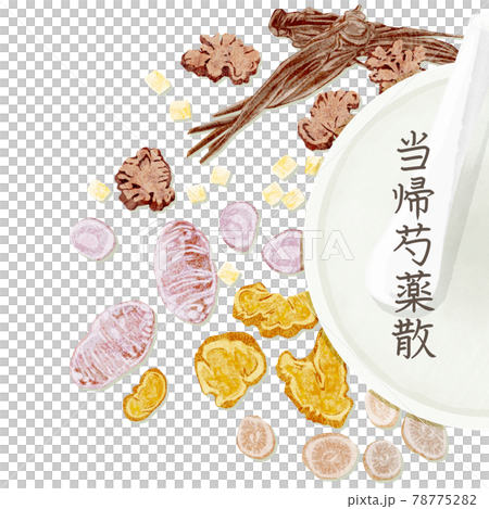 漢方生薬「当帰芍薬散」手描き水彩風イラスト 78775282