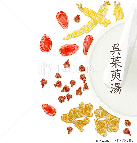 漢方生薬「呉茱萸湯」手描き水彩風イラスト 漢方生薬「呉茱萸湯」手描き水彩風イラスト 78775286