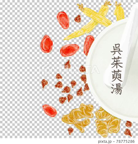 漢方生薬「呉茱萸湯」手描き水彩風イラスト 漢方生薬「呉茱萸湯」手描き水彩風イラスト 78775286