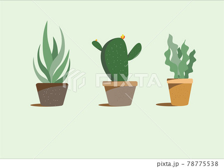 Vector set houseplant cactus and succulent in pot, realistic tree front view. Vector set houseplant cactus and succulent in pot, realistic tree front view. 78775538