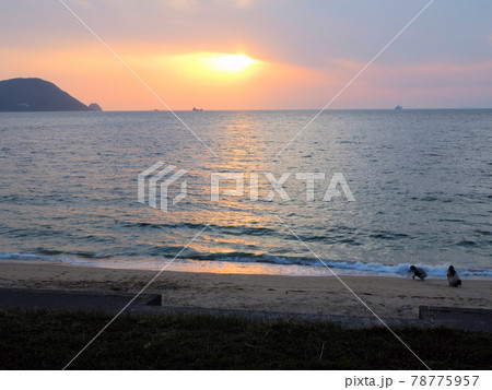 志賀島 下馬ヶ浜海水浴場の夕焼け 福岡県福岡市東区志賀島 志賀島 下馬ヶ浜海水浴場の夕焼け 福岡県福岡市東区志賀島 78775957