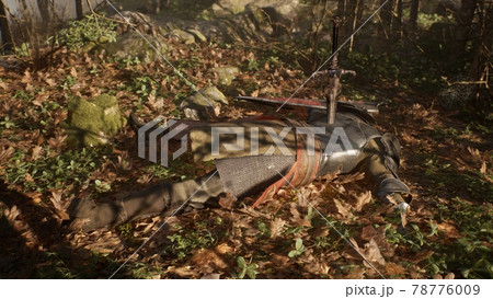 A brave wounded knight lies on the battlefield. View of a medieval knight wounded in battle. The image is for historical, medieval or military backgrounds. 3D Rendering. 78776009