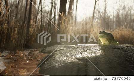 Early morning in the spring sunny forest. The sun's rays make their way through the trees and illuminate the green grass and last year's leaves. The image is for nature backgrounds. 3D Rendering. 78776049