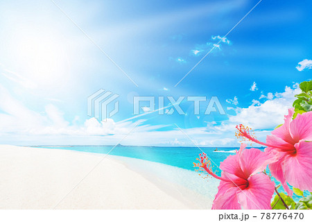 Sunny Okinawa Sea Stock Illustration