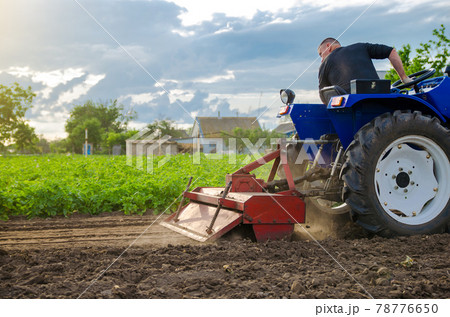 A farmer is cultivating a field before replanting seedlings. Milling soil, crushing and loosening ground before cutting rows. Farming. Preparatory earthworks. Agriculture and agribusiness A farmer is cultivating a field before replanting seedlings. Milling soil, crushing and loosening ground before cutting rows. Farming. Preparatory earthworks. Agriculture and agribusiness 78776650