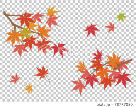 風になびく紅葉　秋のイラスト素材 78777080