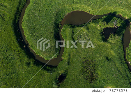 aerial landscape of winding river in green field, top view of beautiful nature texture from drone 78778573