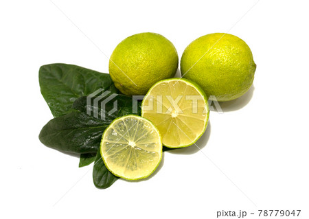 Fresh lime fruit. Whole fruits and cut. Lime leaves. Studio white background. 78779047