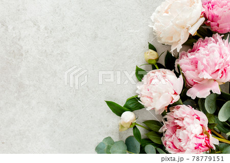 Beautiful pink peony flowers on gray stone table with copy space for your text. Flat style, top view 78779151