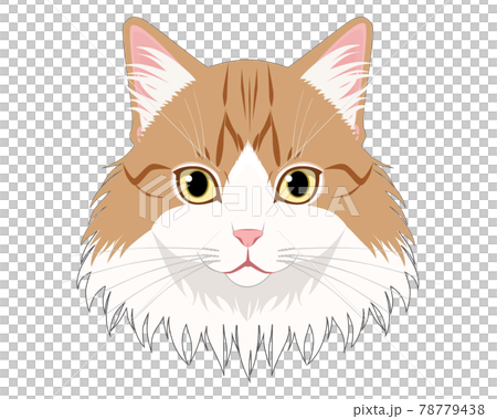 猫 長毛種 の顔のイラスト素材