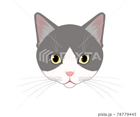 猫(グレーぶち)の顔 78779445