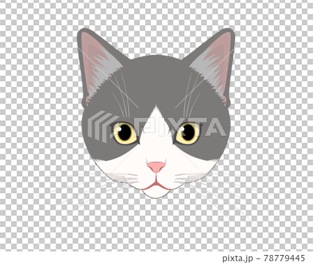 猫(グレーぶち)の顔 78779445